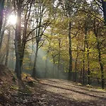 Stylisches Im Villenviertel