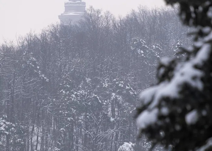 Apartment Stylisches Im Villenviertel *