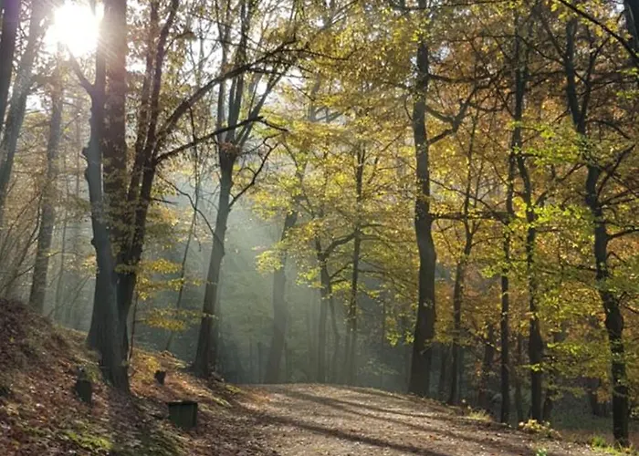 Stylisches Im Villenviertel